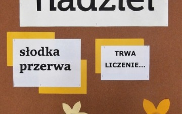 Pola Nadziei w SP 6 - I edycja