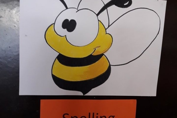 24898806 1622308784493597 1859130678 n