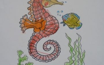 Konkurs morskie zwierzaki